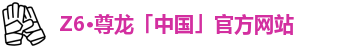 Z6·尊龙